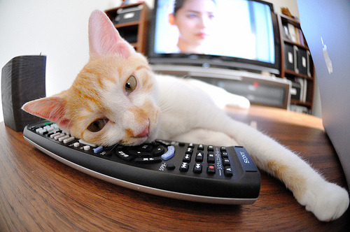 开云体育中国官网-全国青少年篮球联盟联赛精彩纷呈，赛场火热，全国青少年篮球公开赛